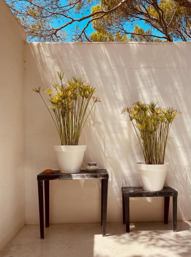 Casa Matelito Villa Platja de Migjorn Eksteriør billede